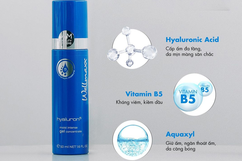 Tác dụng gel dưỡng ẩm phục hồi Wellmaxx Hyaluron Moist Intense Gel Concentrate 50ml