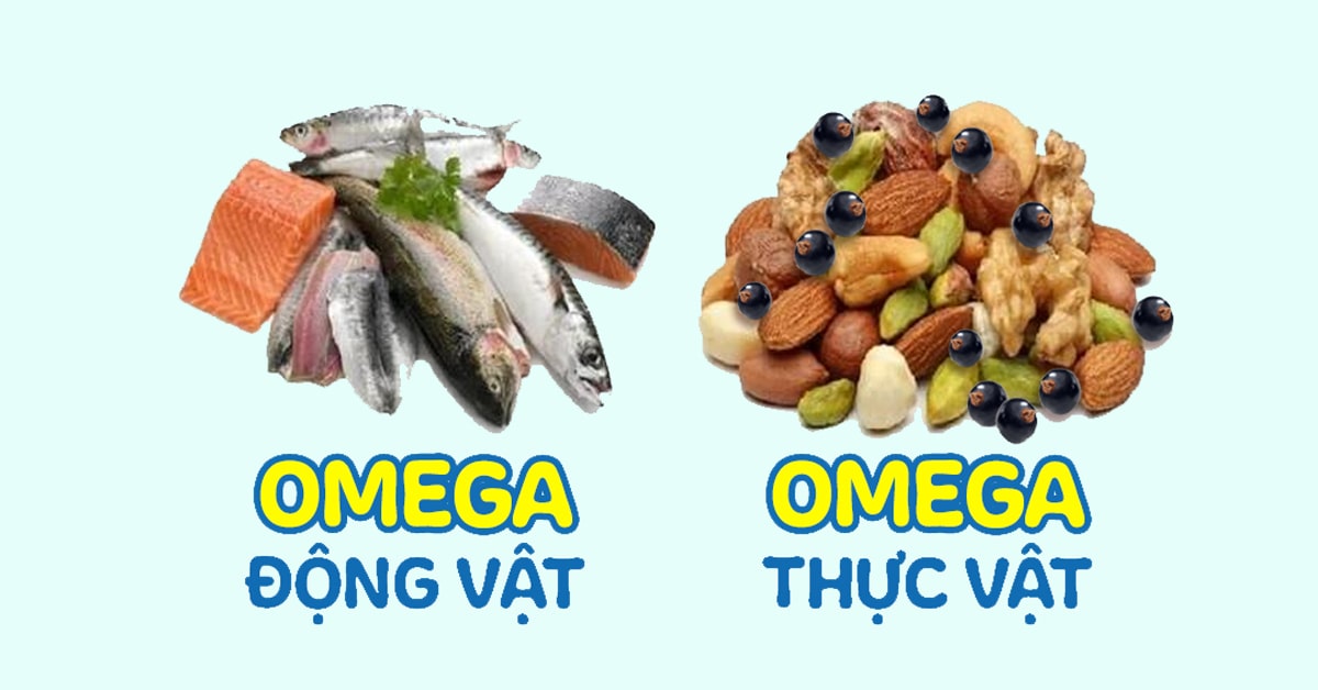 Nên bổ sung loại Omega 3 nào để tốt cho sức khỏe?